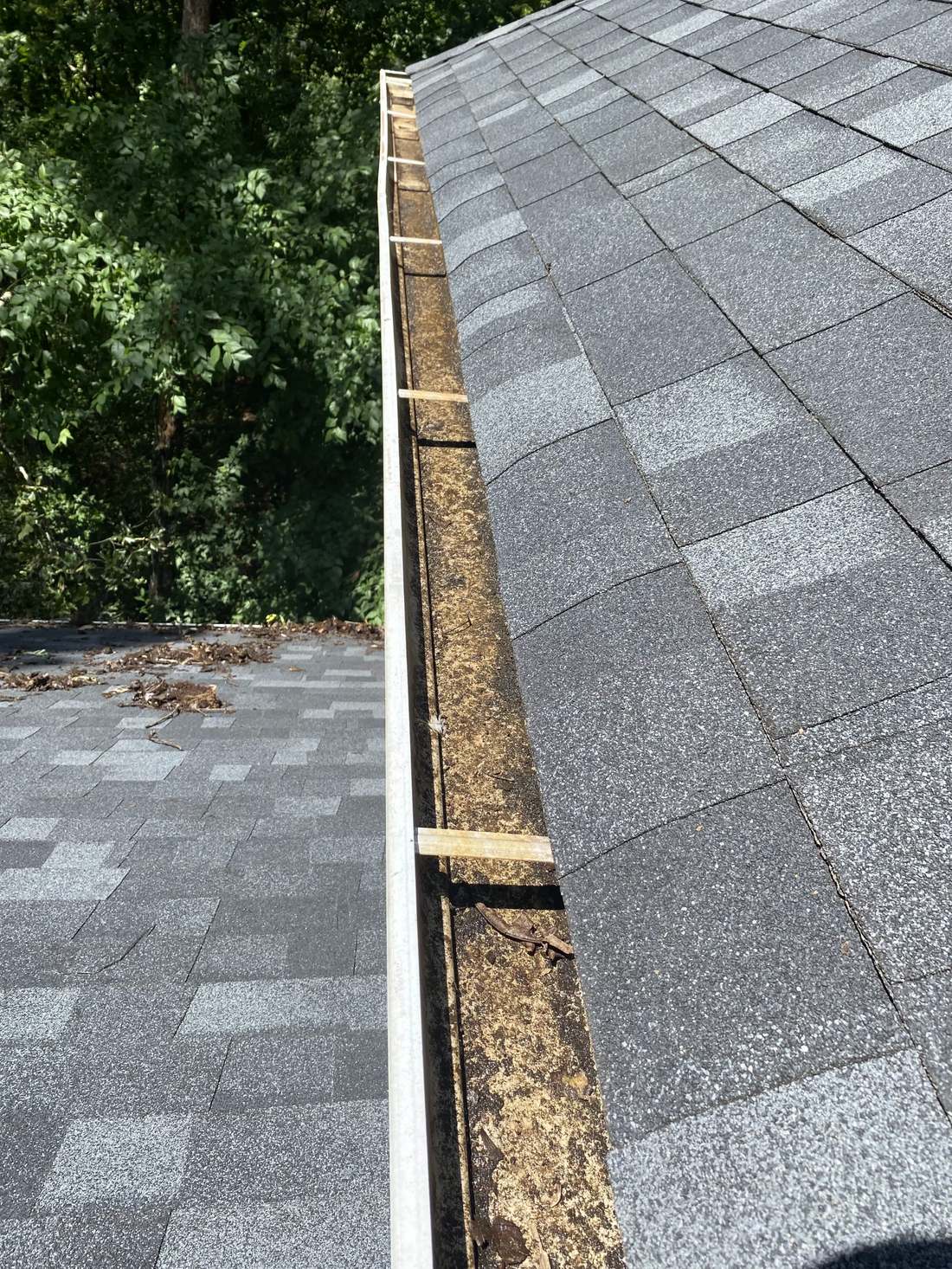 Gutter full of leaves before cleaning
