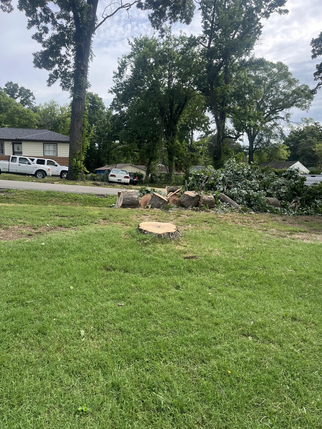 Cut logs and brush piled in a yard after tree removal