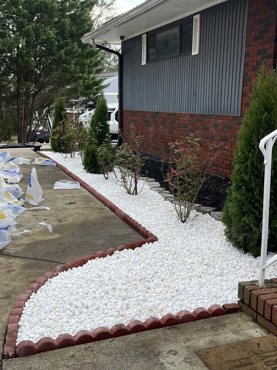 Landscape bed prepped with fabric and new shrubs