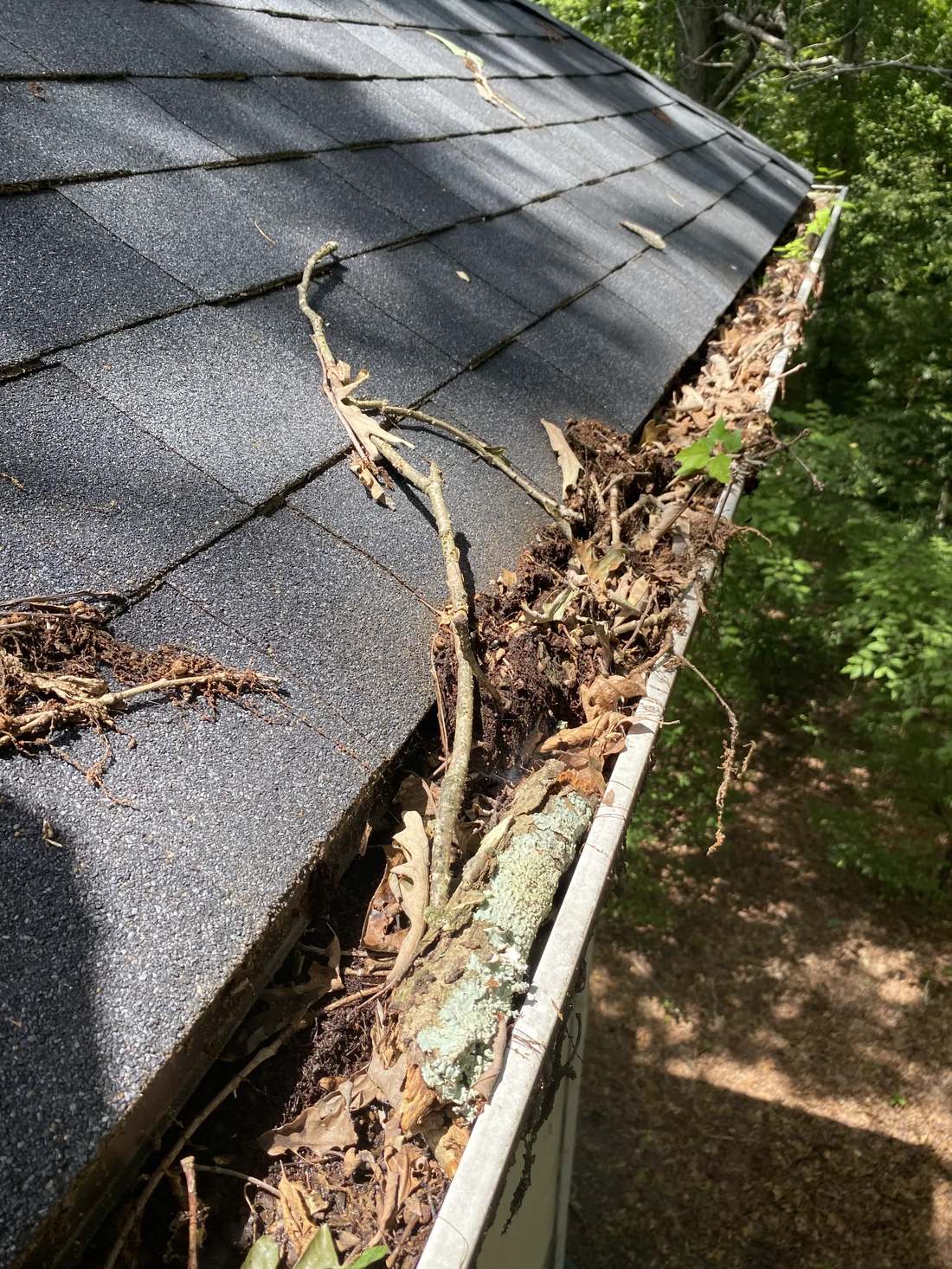 Crew with customer after storm cleanup job